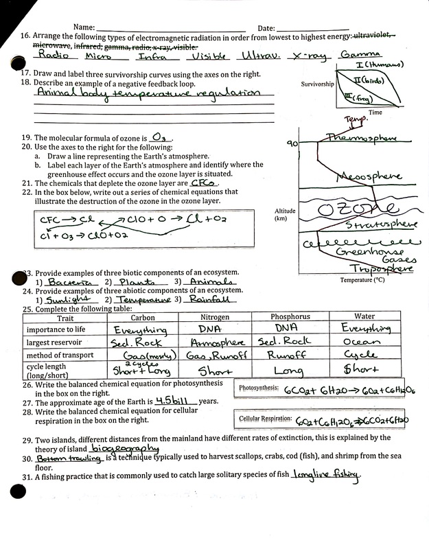Apes Review Worksheet Answers worksheet